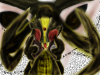 ベルゼブブ のコピー.png